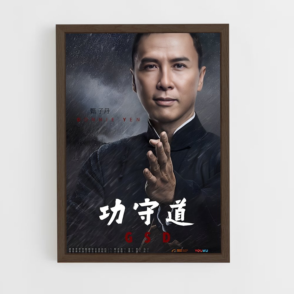 Poster L'Héritage de Ip Man – affiche Kung Fu (vue 5)